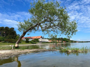 Marių apartamentai Nida